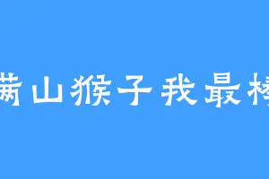 满山猴子我最棒