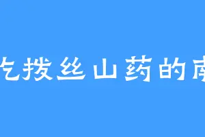 爱吃拨丝山药的南司