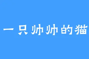 有一只帅帅的猫咪