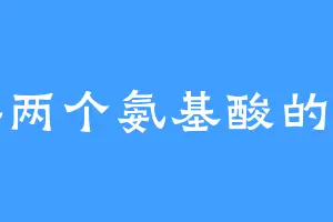 连接两个氨基酸的化学