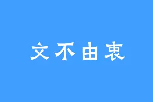文不由衷