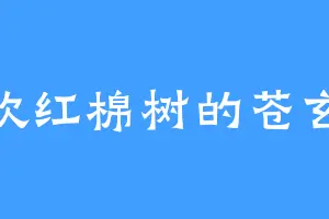 喜欢红棉树的苍玄城