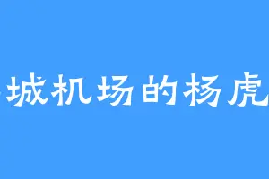 羊城机场的杨虎臣