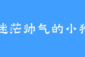 迷茫帅气的小狗