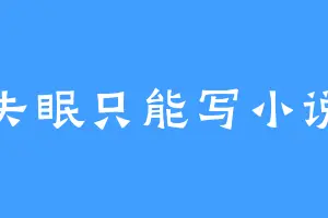 失眠只能写小说