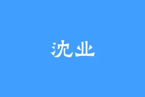 沈业