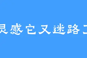 灵感它又迷路了
