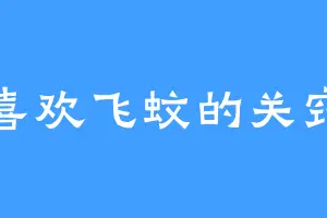 喜欢飞蚊的关窍