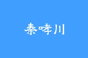 秦哮川