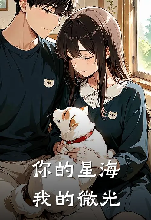 你的星海，我的微光苏念林初夏热门小说推荐_完本小说大全你的星海，我的微光(苏念林初夏)