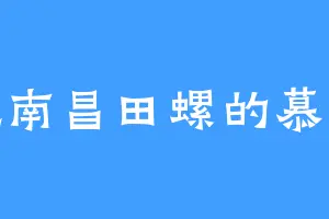 爱吃南昌田螺的慕轻宸