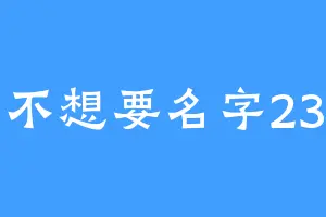 不想要名字23