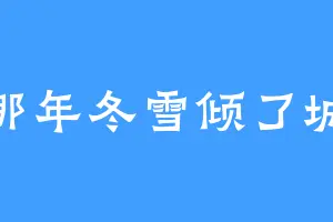 那年冬雪倾了城