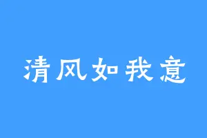 清风如我意