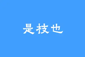 是枝也