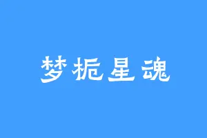 梦栀星魂