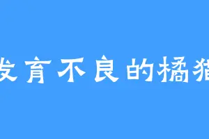 发育不良的橘猫