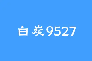 白炭9527