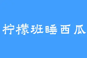 上柠檬班睡西瓜觉