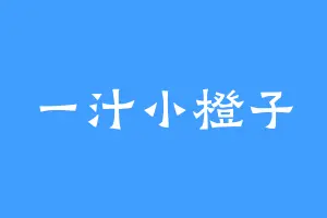 一汁小橙子
