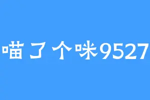喵了个咪9527