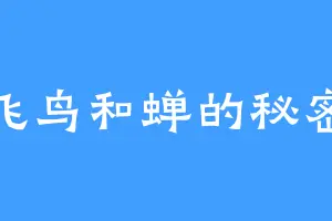 飞鸟和蝉的秘密