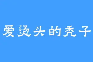 爱烫头的秃子