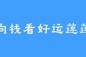 向钱看好运莲莲