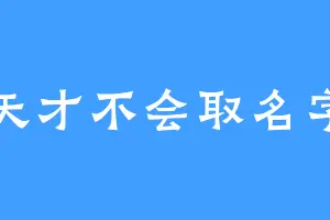 天才不会取名字