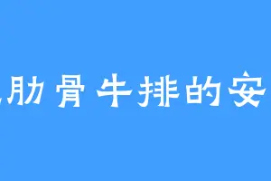 爱吃肋骨牛排的安姑娘