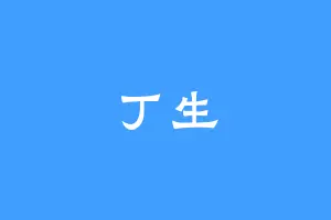 丁生