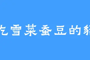 爱吃雪菜蚕豆的貂皇