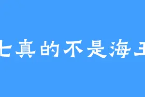 七真的不是海王