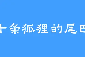 十条狐狸的尾巴