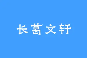 长葛文轩
