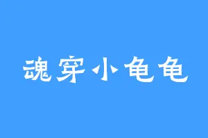魂穿小龟龟