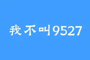 我不叫9527