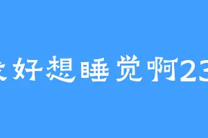 我好想睡觉啊233