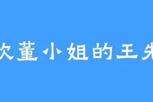 喜欢董小姐的王先生
