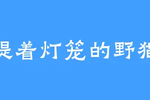 提着灯笼的野猫