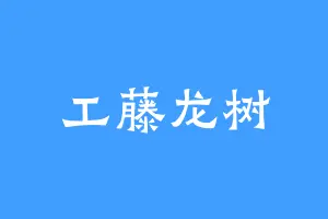 工藤龙树