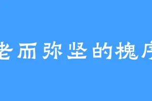 老而弥坚的槐序
