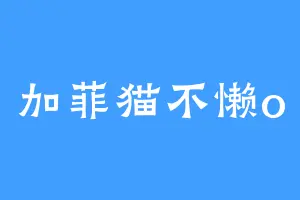 加菲猫不懒o