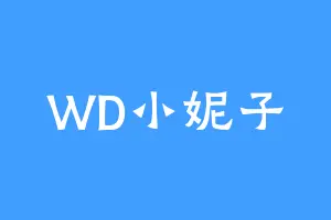 WD小妮子