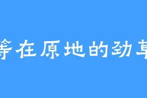 等在原地的劲草