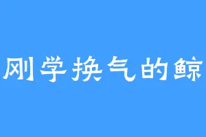 刚学换气的鲸
