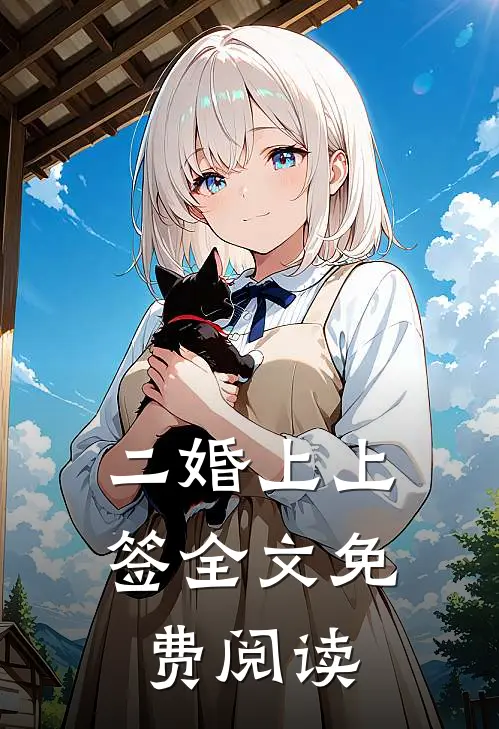 二婚上上签全文免费阅读