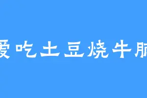 爱吃土豆烧牛腩
