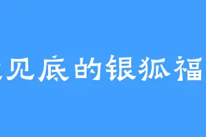清澈见底的银狐福克斯