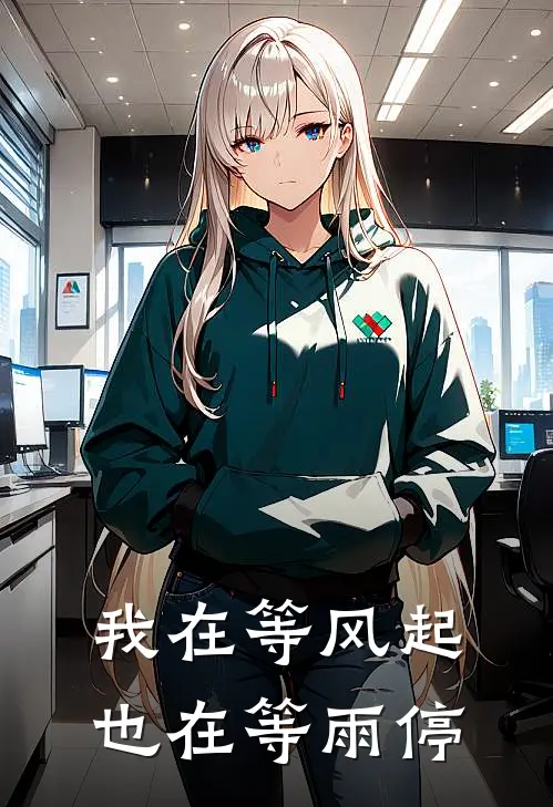 我在等风起，也在等雨停